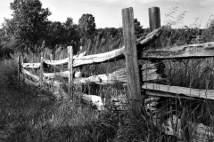 Wooden Fence